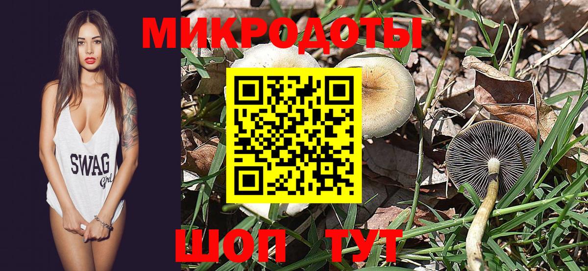 Галлюциногенные грибы Magic Shrooms  Вход с VPN  Шарыпово 